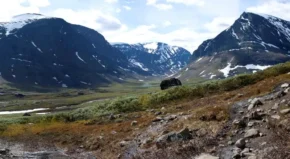 Скандинавські гори у Швеції