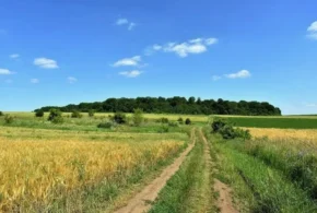 Липень в Україні