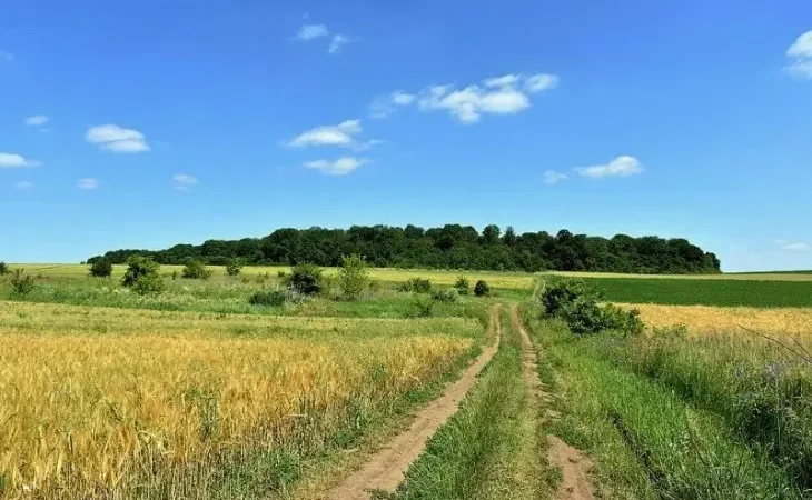 Липень в Україні