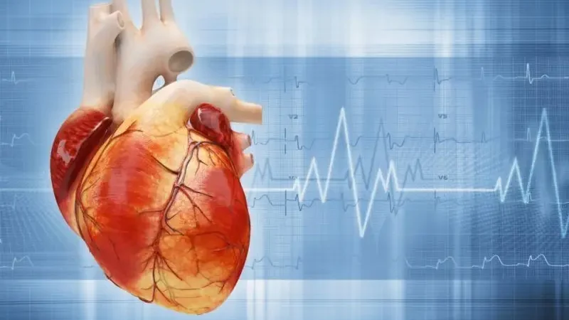 Серце людини, колаж