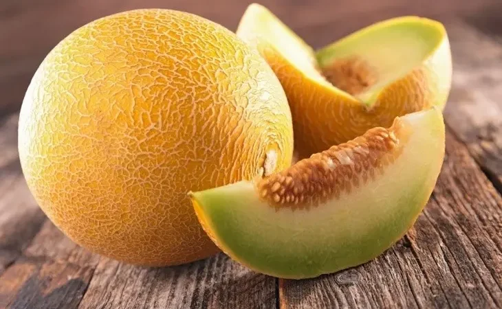 Вигляд дині ззовні і всередині