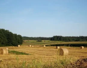 Липень у Словенії