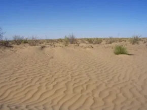 Пустеля Кизилкум в Узбекистані