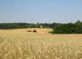 Липень у Німеччині