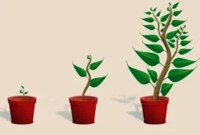 Стебло будь-якої рослини зазвичай росте вгору