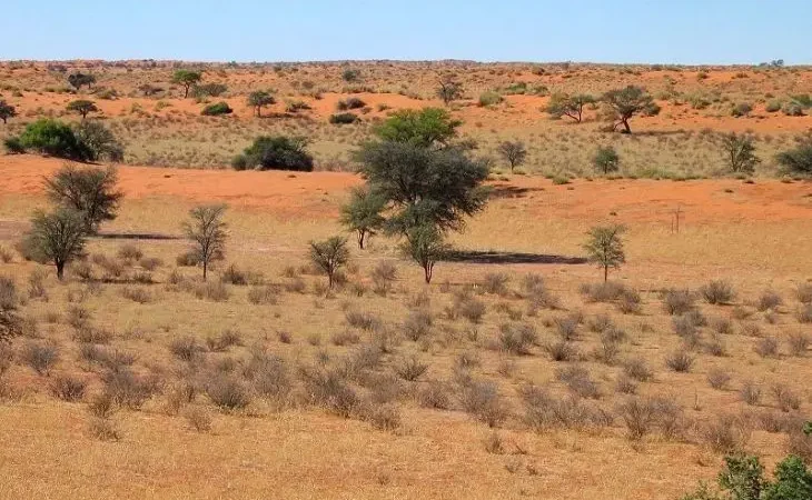 Вид на пустелю Калахарі