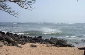 Сальвадор. Берег "Playa Los Cóbanos"
