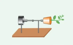 Такий вигляд має прилад під назвою "клиностат"