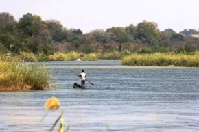 Річка Окаванго Річка Окаванго