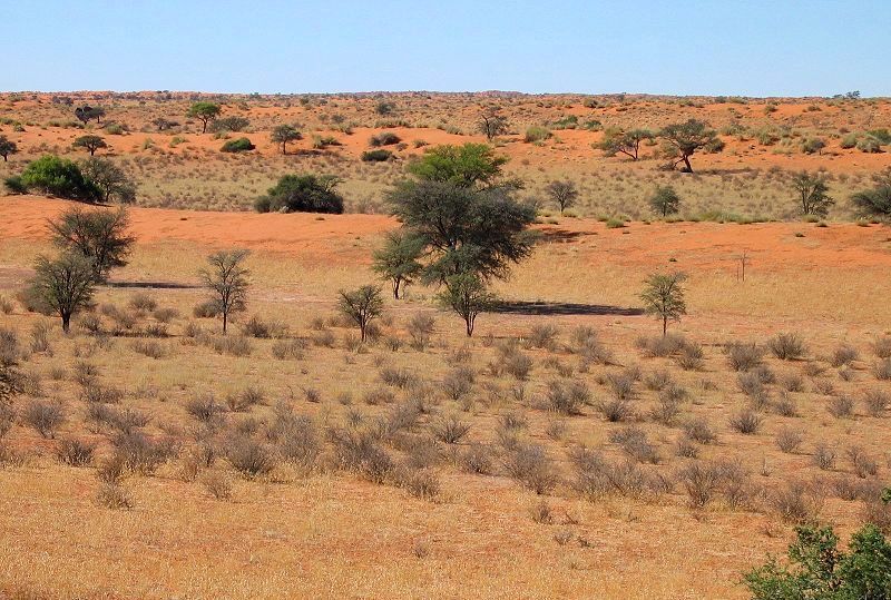 Вид на пустелю Калахарі з траси С14, Намібія.