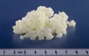 Кефірний грибок Кефірний грибок