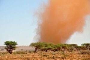 Сомалі під час посухи 2011 року.
