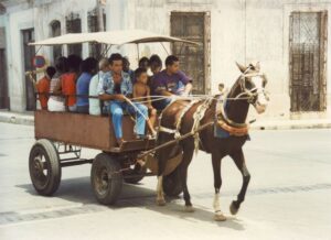 Громадський транспорт з кінною тягою на Кубі