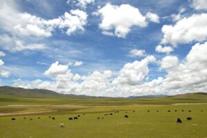 Тибетське нагір'я, Китай.