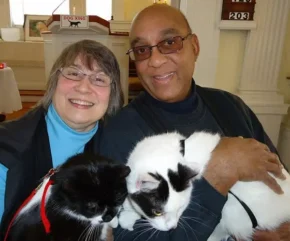 Коти-терапевти на роботі