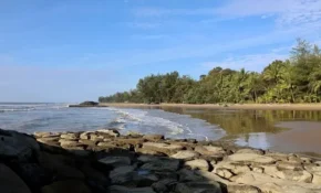 Узбережжя Брунея Узбережжя Брунея