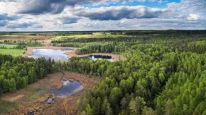 Литовський пейзаж