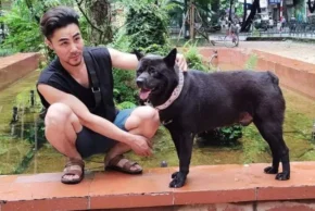 Дорослий хмонг