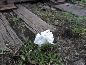 Використана волога серветка